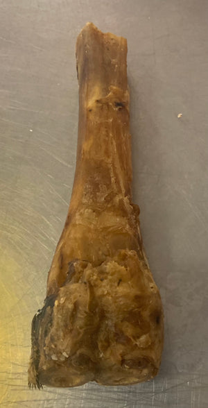 Leg Bone (Dehydrated)