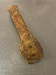 Leg Bone (Dehydrated)